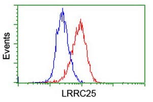 LRRC25 Antibody (clone 3.00E+04, Carrier-free)