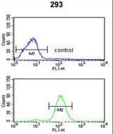 CAT / Catalase Antibody (aa152-180)