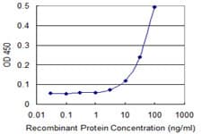 FANCF Antibody (clone 3C4)