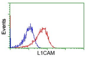 L1CAM Antibody (clone OTI2A5)
