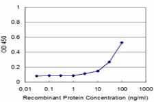 PPP2R5C Antibody (clone 3G9)