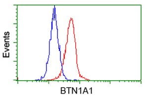 BTN1A1 Antibody (clone OTI3A12)