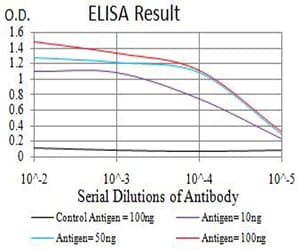 APEX1 / APE1 Antibody (clone 7A2G7)