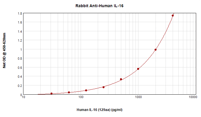 IL16 Antibody