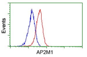 AP50 / AP2M1 Antibody (clone OTI 2F11)