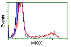KSP32 / MIOX Antibody (clone OTI5H4)