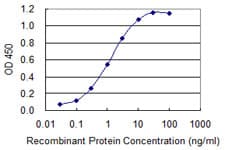 ZAN / Zonadhesin Antibody (clone 2B6)