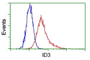 Monoclonal Mouse anti-Human ID3 Antibody (clone OTI12C7, IHC, IF, WB)