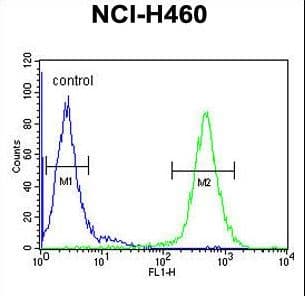 ACAD10 Antibody (aa393-421)