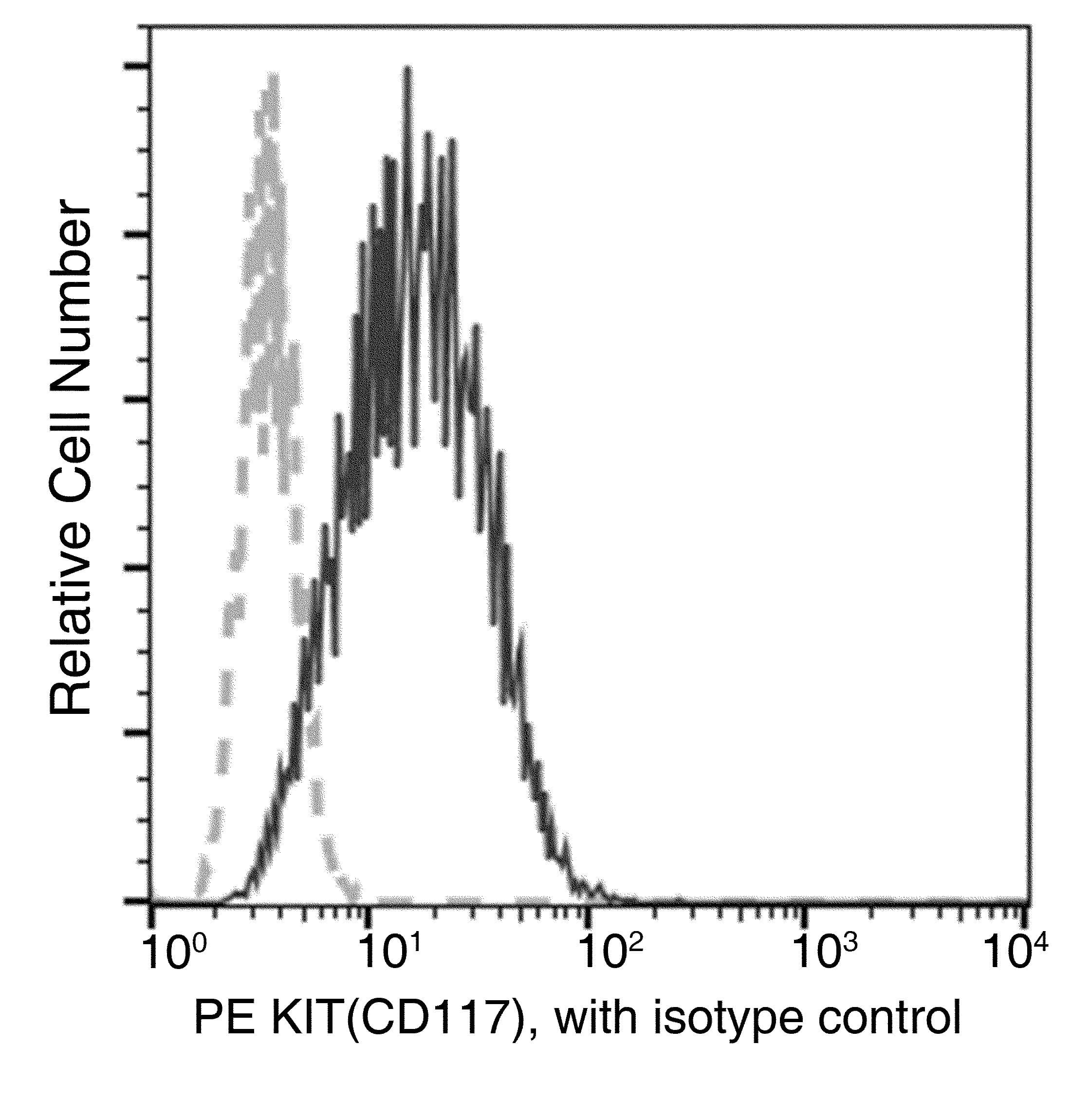 c-Kit / CD117 Antibody (clone 41, PE)