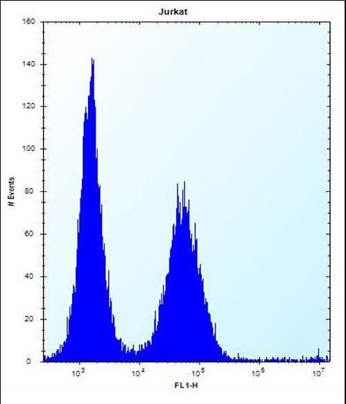 KCTD10 Antibody (aa273-301)