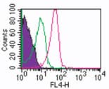 RORC / ROR Gamma Antibody (aa1-50, clone 4G419, APC)