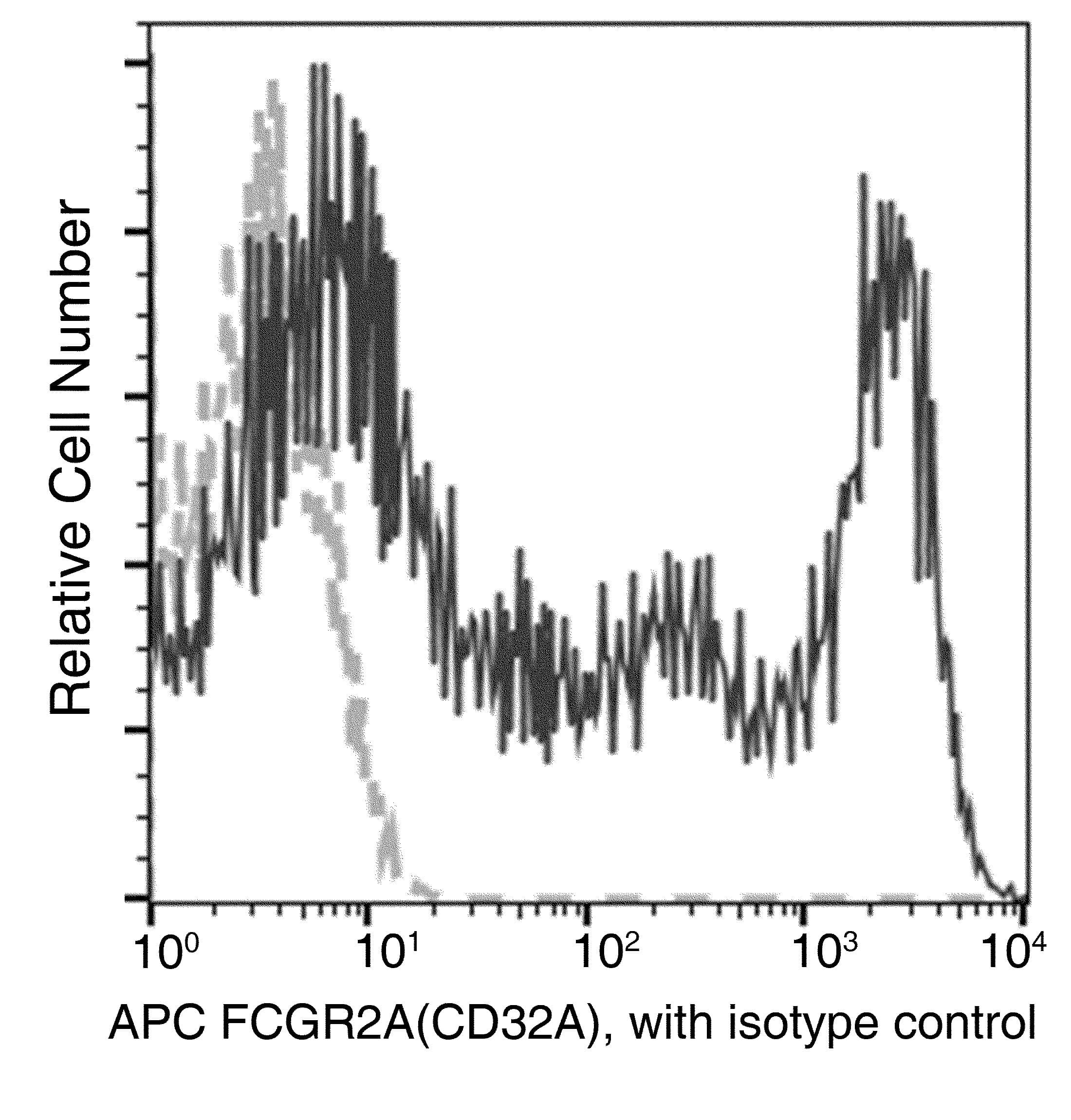 CD32A Antibody (clone 04, APC)