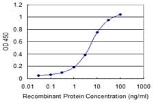 NIP45 / NFATC2IP Antibody (clone 3E9-B7)