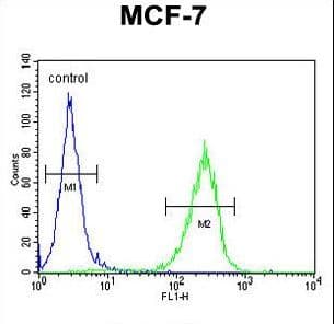 C15orf27 Antibody (aa503-531)