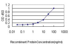 SERPINH1 / HSP47 Antibody (clone 1D2-1A6)