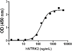 Human NTRK2 / TRKB Protein (Recombinant)