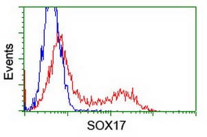 SOX17 Antibody (clone OTI3B10)
