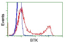 BTK Antibody (clone OTI15G8)