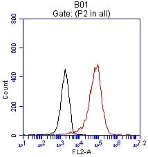 Monoclonal Mouse anti-Human EPCAM Antibody (clone UMAB131, IHC, WB)