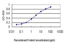 GNG4 Antibody (clone 1D9-G11)