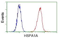 IHC-plus™ Heat Shock Protein 70 / HSPA1A Antibody (clone 5F3)