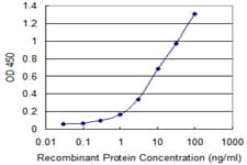 Monoclonal Mouse anti-Human PIK3R1 / p85 Alpha Antibody (clone 1C10, WB)