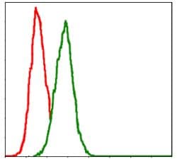GSTM1 Antibody (clone 1H4F2)