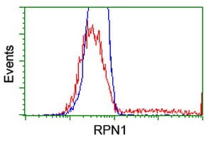 RPN1 / Ribophorin I Antibody (clone OTI3H3)