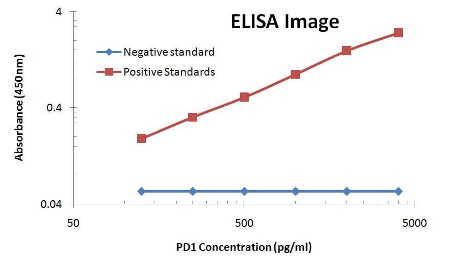 Monoclonal Mouse anti-Human PDCD1 / CD279 / PD-1 Antibody (clone OTI21F5, IF, WB)