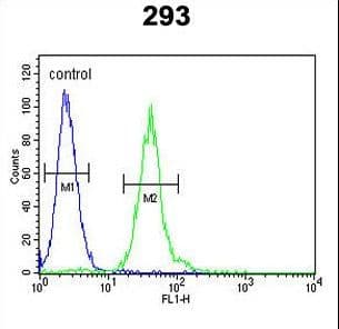 CSF1 / MCSF Antibody (aa230-257)