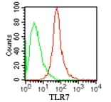 TLR7 / CD287 Antibody (aa562-839, clone IMG4G6, PE)