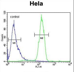 RAMA1 / SKA3 Antibody (aa226-253)