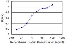 IHC-plus™ SLC13A5 Antibody (clone 2G4)