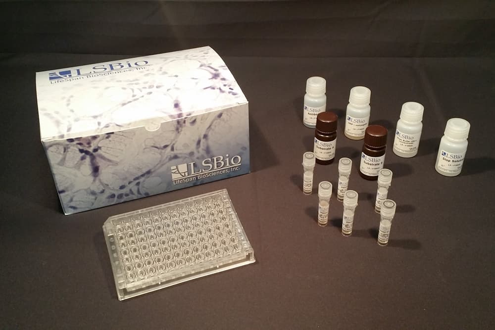 Dog Dihydrotestosterone ELISA Kit (Competitive EIA)
