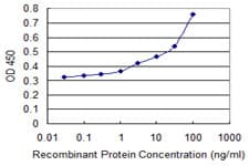 ATM Antibody (clone 2C10)