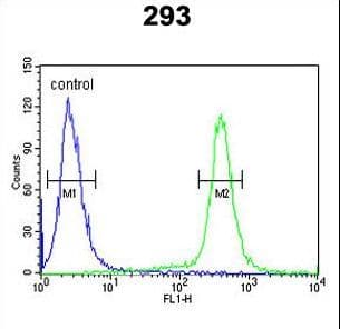 Polyclonal Rabbit anti-Human ESPN / Espin Antibody (aa17-45, IHC, WB)