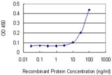 Monoclonal Mouse anti-Human FGF5 Antibody (clone 1B4, WB)