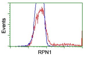 RPN1 / Ribophorin I Antibody (clone OTI3E1, Carrier-free)