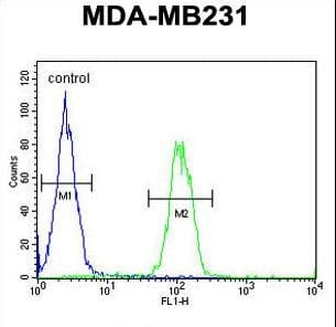 Polyclonal Rabbit anti-Human EGLN2 / PHD1 Antibody (aa194-221, IHC, WB)