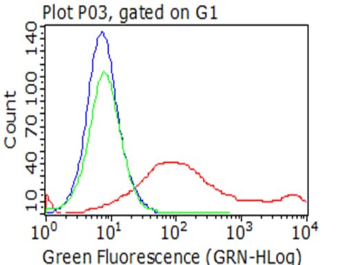 Monoclonal Mouse anti-Human HAVCR2 / TIM-3 Antibody (clone OTI2F11, WB)