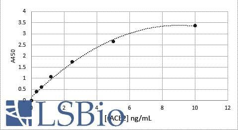 PathPlus™ ACE2 / ACE-2 Antibody