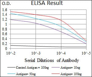 PDE1B Antibody (aa370-536, clone 10B10B12)