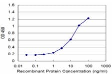 PURA / Pur-Alpha Antibody (clone 1C10)