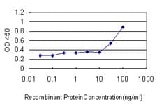 PathPlus™ Monoclonal Mouse anti-Human CBFA1 / RUNX2 Antibody (clone 1D2, IHC, IF, WB)