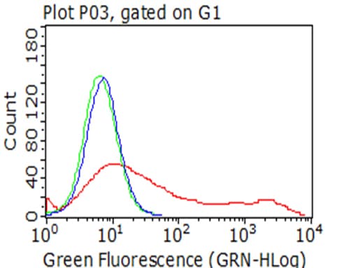 MME / CD10 Antibody (aa411-750, clone UMAB236)