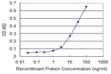 ZFYVE19 Antibody (clone 3G4-2B11)
