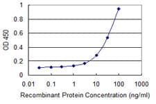 PSTPIP1 Antibody (clone 1D5)