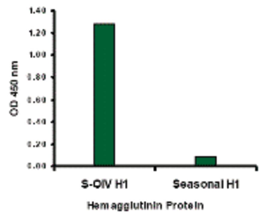Polyclonal Rabbit anti-Virus Influenza A Virus Hemagglutinin Antibody (WB)