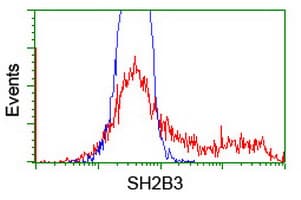 SH2B3 / LNK Antibody (clone OTI6F11)